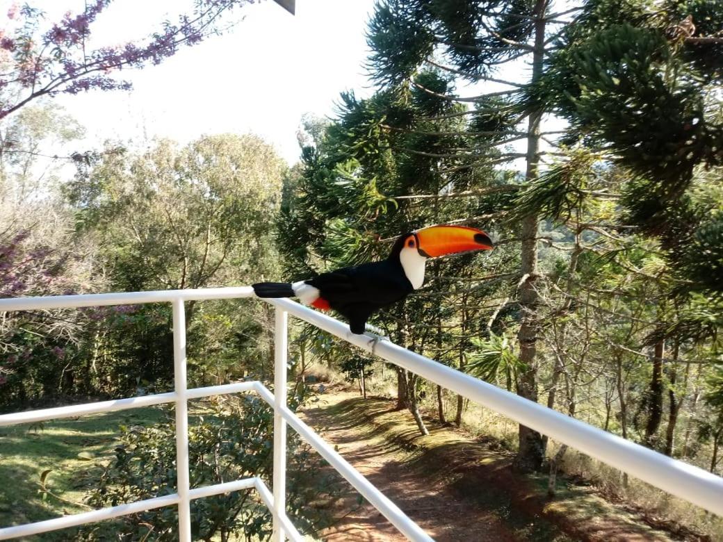 Hotel Abrigo Da Reserva Santo Antônio do Pinhal Esterno foto